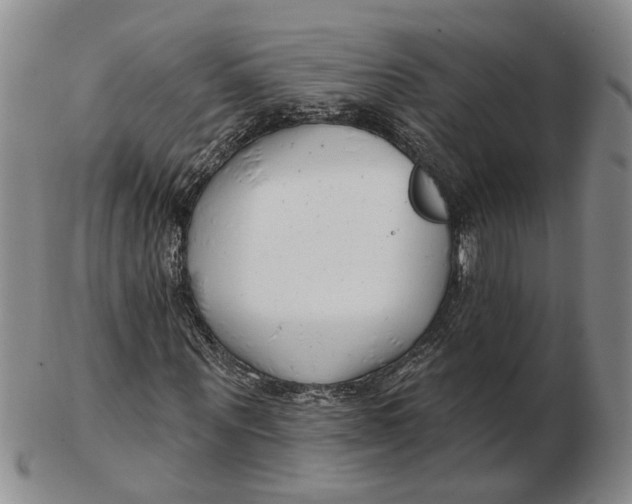 X0000102790867200809081047