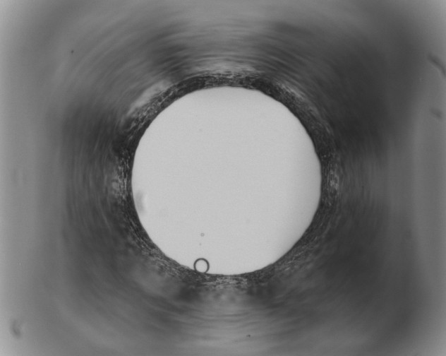 X0000102790869200809081047