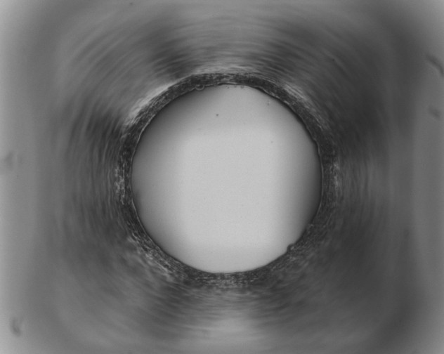 X0000102790872200809081047