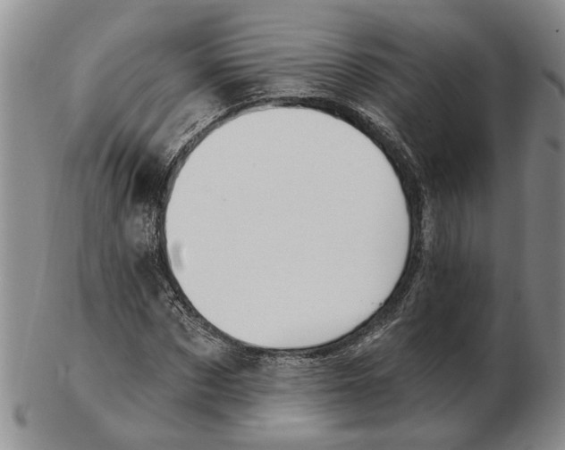 X0000102790873200809081047