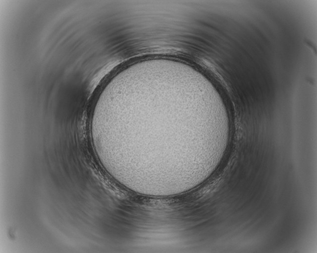 X0000102790875200809081047