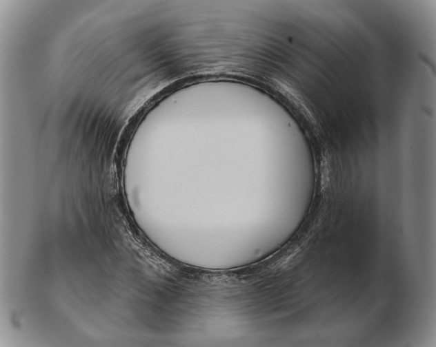 X0000102790876200809081047