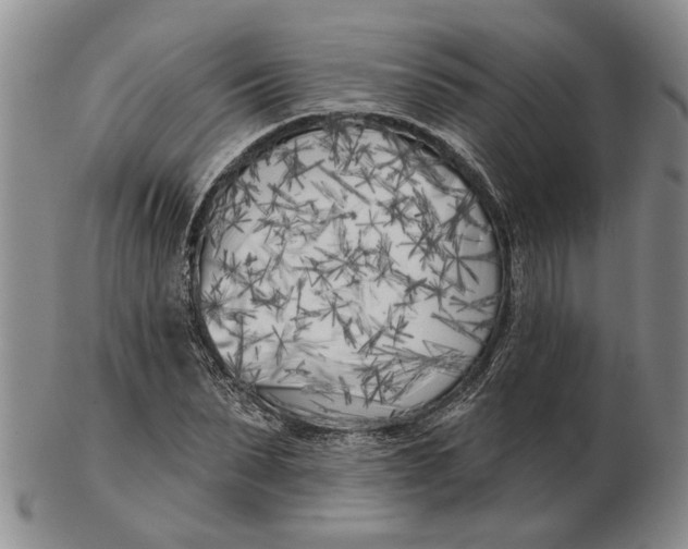 X0000102790879200809081047