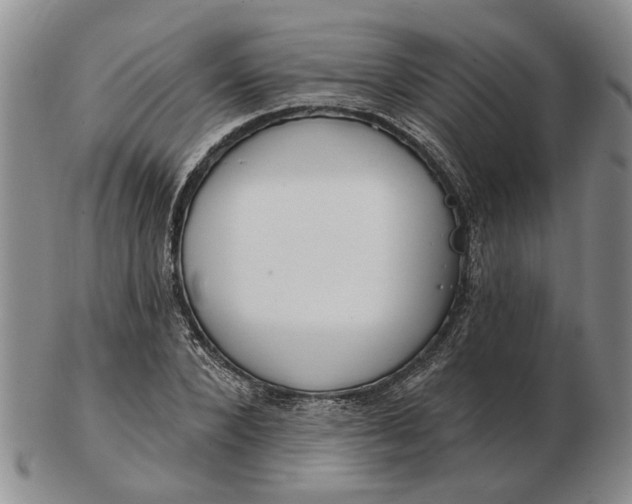 X0000102790880200809081047