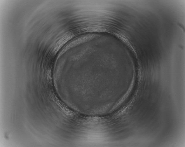 X0000102790881200809081047