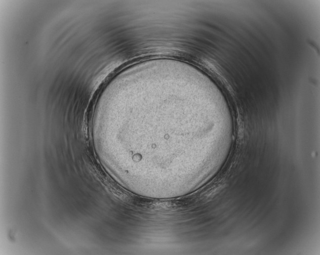 X0000102790883200809081047