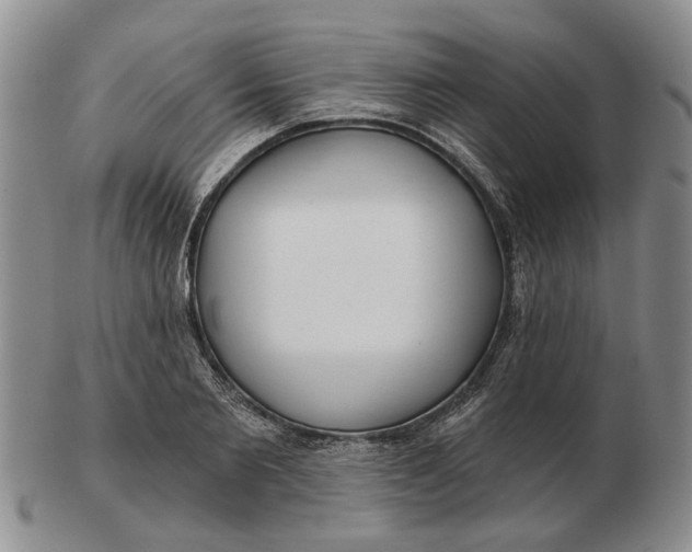 X0000102790885200809081047