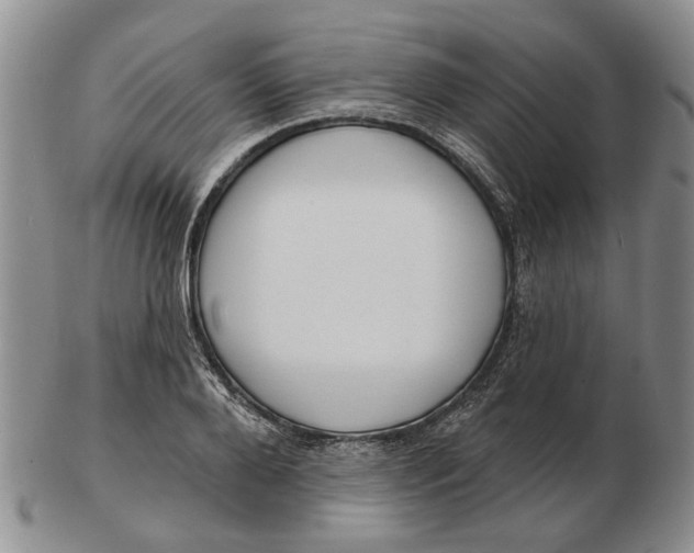 X0000102790888200809081047