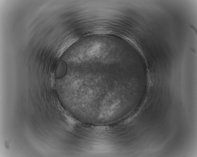 X0000102790889200809081047