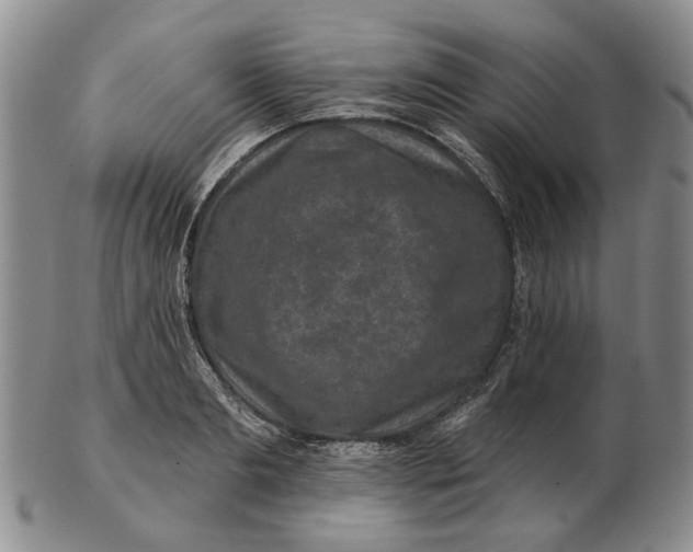 X0000102790893200809081047