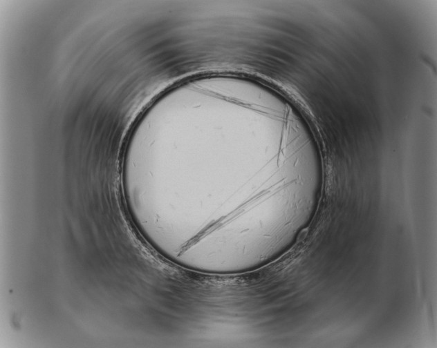 X0000102790895200809081047