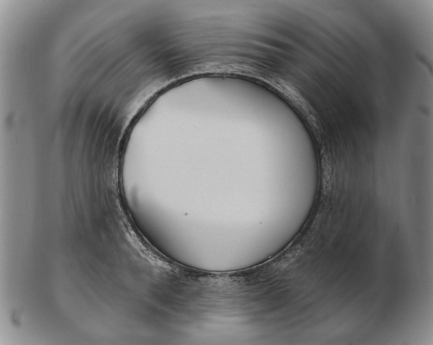 X0000102790896200809081047