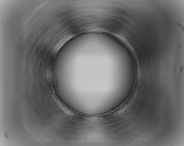 X0000102790897200809081047