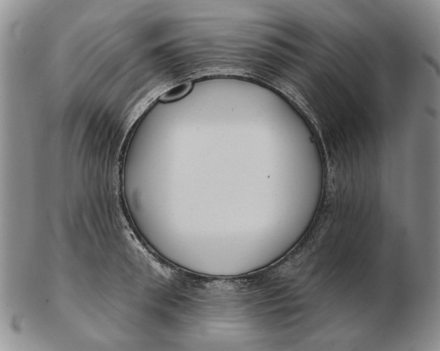 X0000102790898200809081047