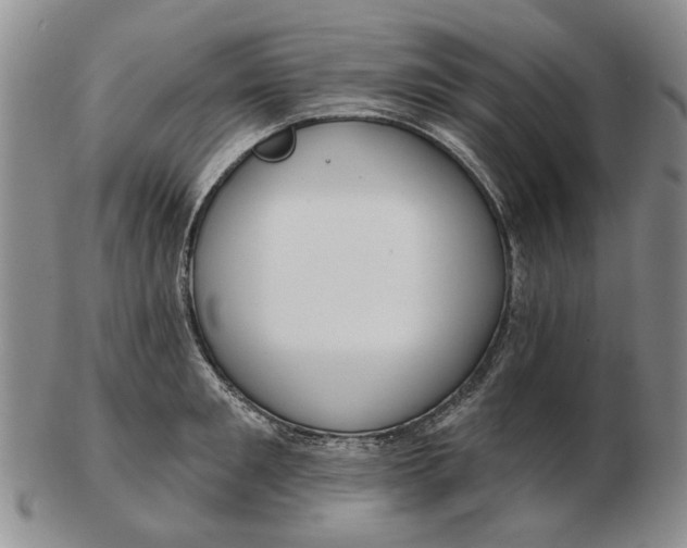 X0000102790901200809081047