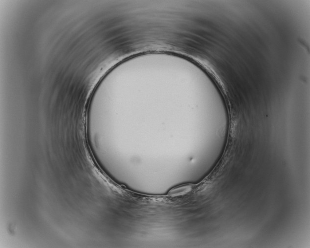 X0000102790903200809081047