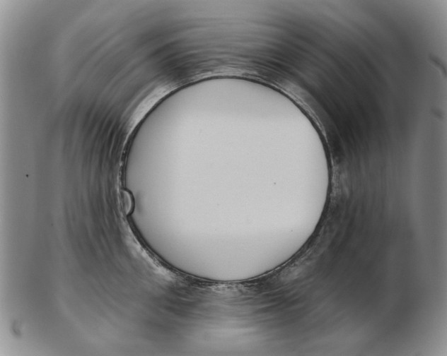 X0000102790906200809081046