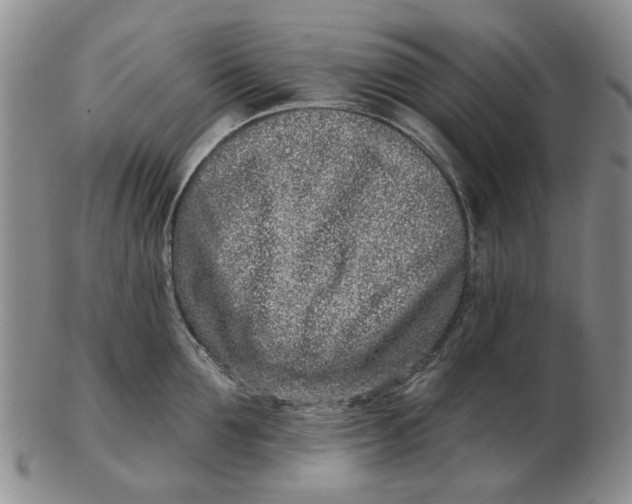 X0000102790907200809081046