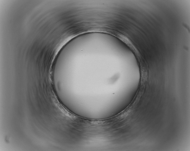 X0000102790908200809081046