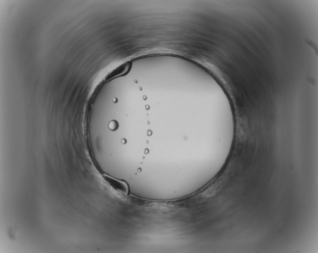 X0000102790910200809081046