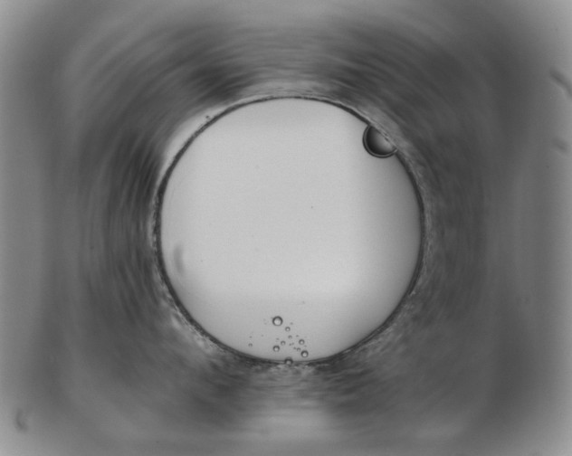 X0000102790912200809081046