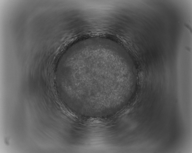 X0000102790913200809081046