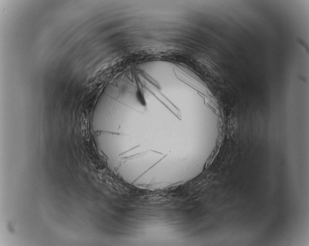 X0000102790917200809081046