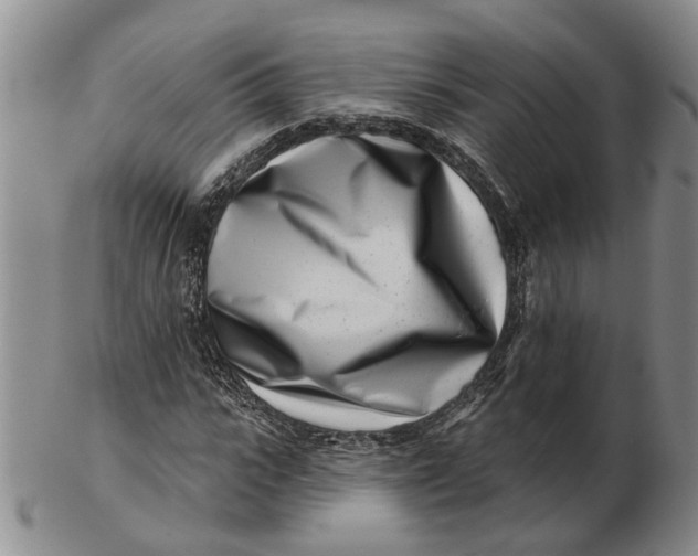 X0000102790919200809081046