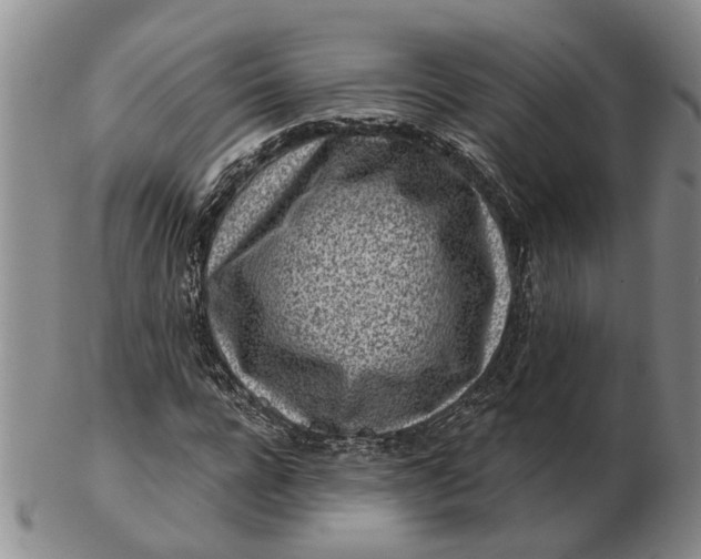 X0000102790920200809081046