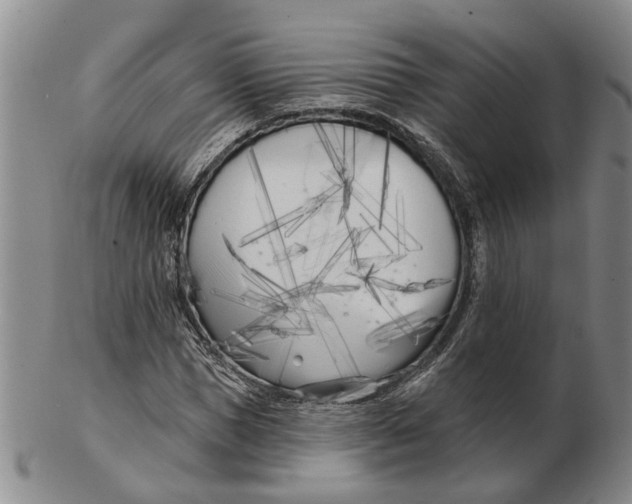 X0000102790921200809081046