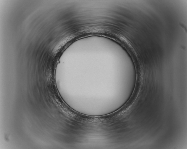 X0000102790922200809081046