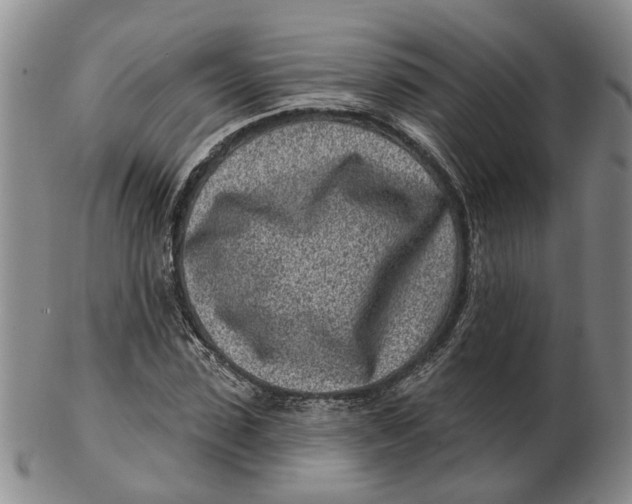 X0000102790923200809081046