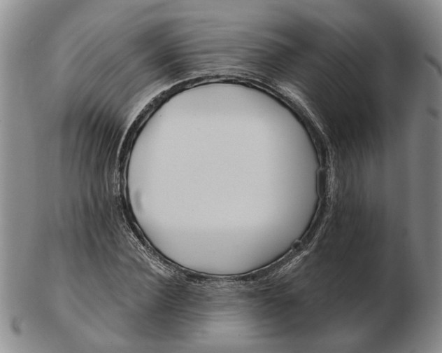 X0000102790924200809081046