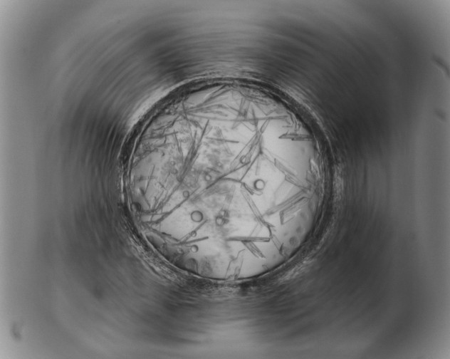 X0000102790925200809081046