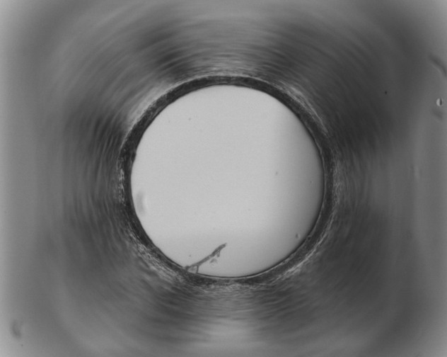 X0000102790926200809081046