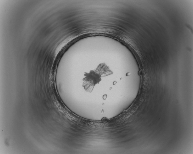 X0000102790928200809081046