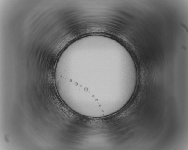 X0000102790929200809081046