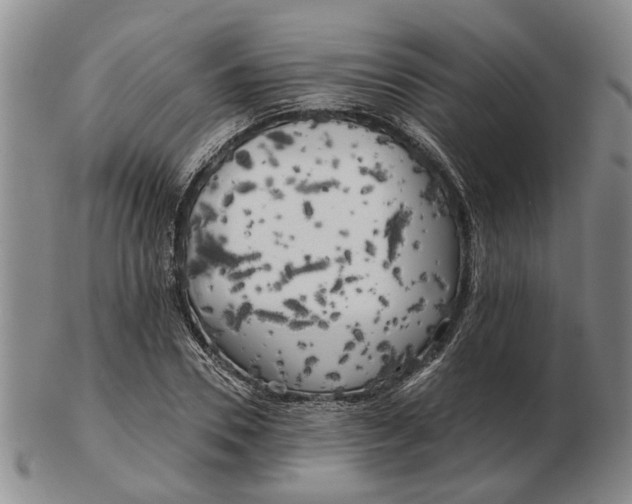 X0000102790930200809081046