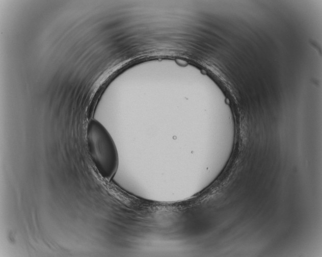 X0000102790933200809081046