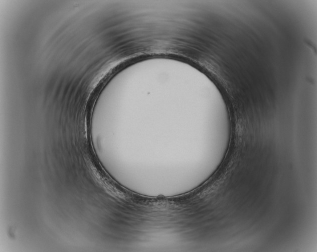 X0000102790934200809081046