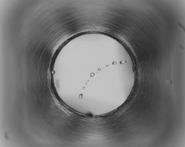 X0000102790936200809081046