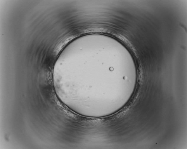 X0000102790937200809081046