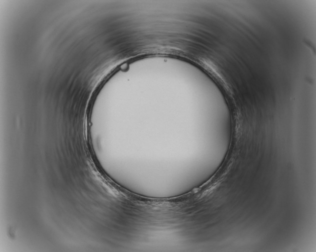 X0000102790940200809081046