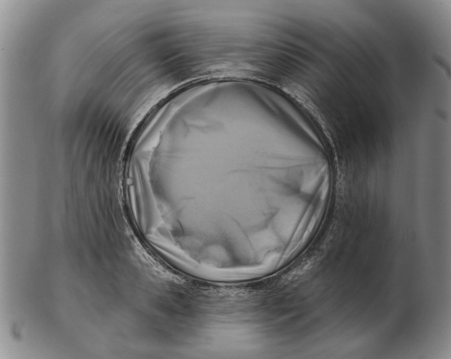 X0000102790941200809081046