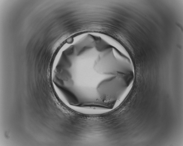 X0000102790944200809081046