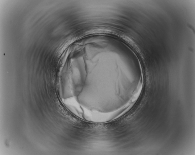 X0000102790945200809081046