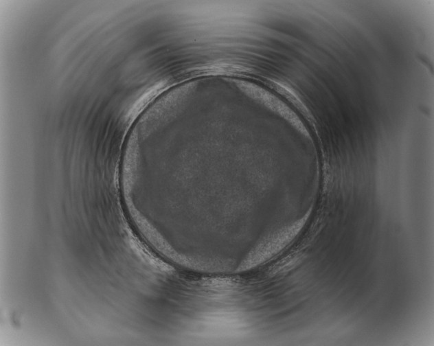 X0000102790946200809081046