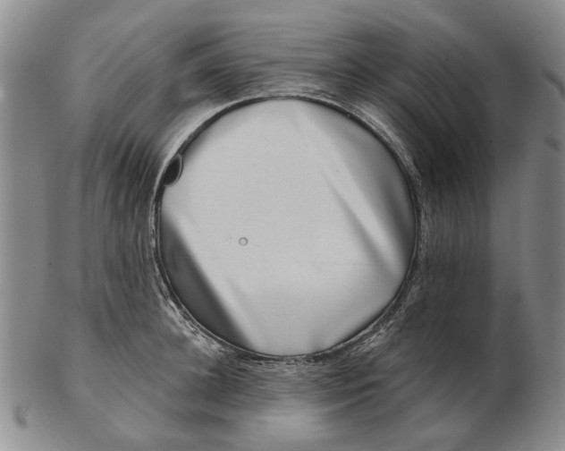 X0000102790948200809081046