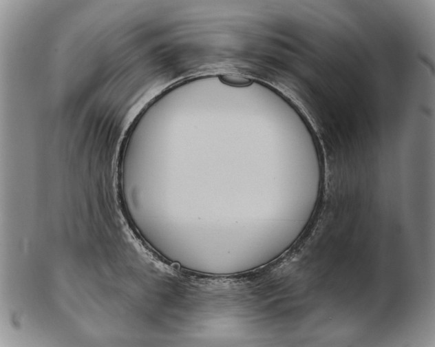 X0000102790949200809081046