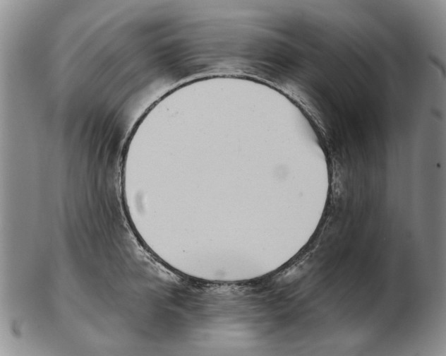 X0000102790950200809081046